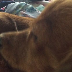 Meet your Posher, Kindyll